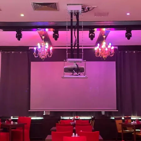 Mustang Am Grossen Garten