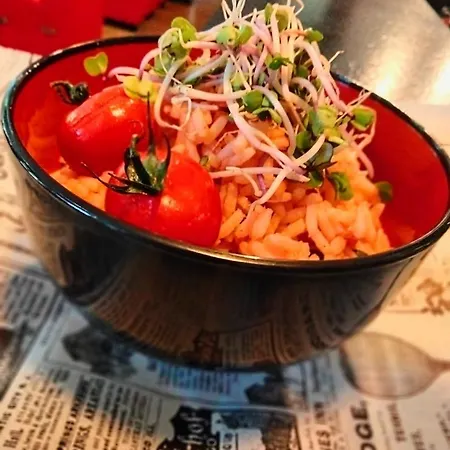 Hotel Mustang Am Grossen Garten Dresde