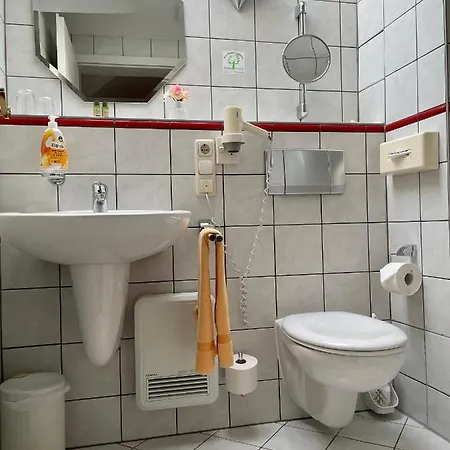 Mustang Am Grossen Garten