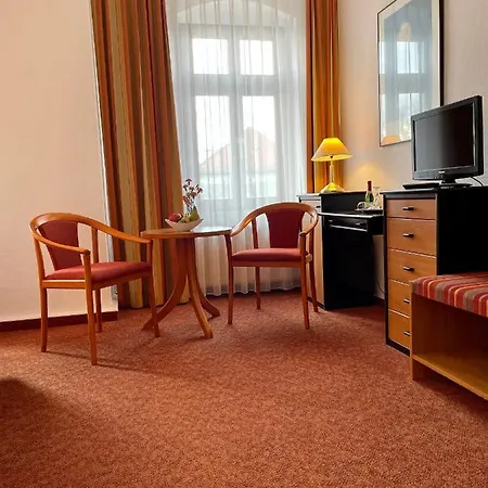 Mustang Am Grossen Garten Drezno