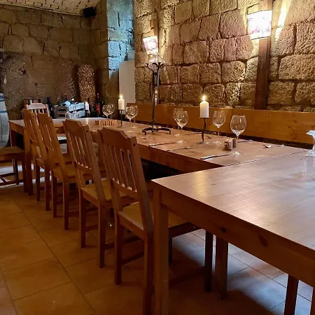 Mustang Am Grossen Garten