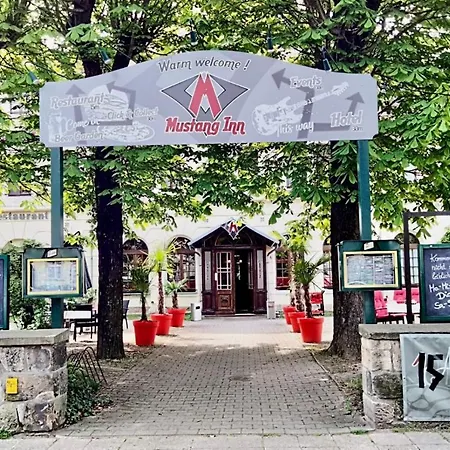 Mustang Am Grossen Garten