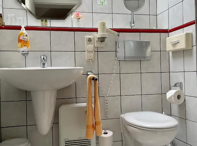 Mustang Am Grossen Garten