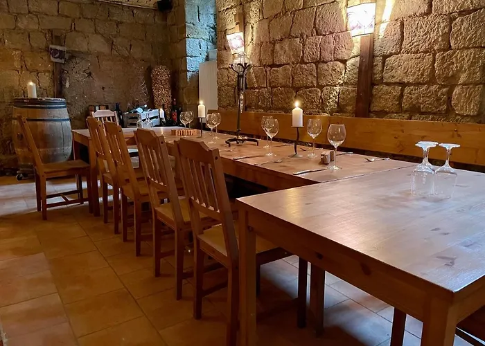 Mustang Am Grossen Garten