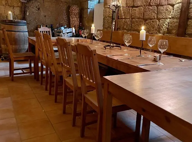 Mustang Am Grossen Garten