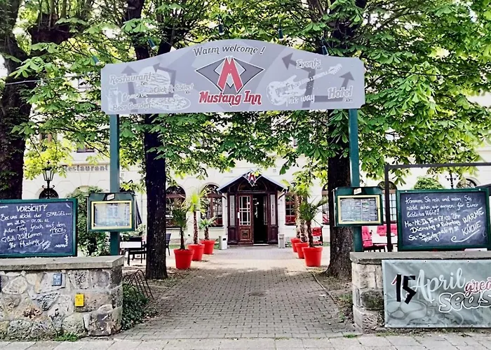 Mustang Am Grossen Garten